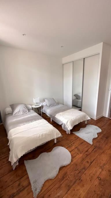 Maison Entierement Renovee Villa Ambares-et-Lagrave Екстериор снимка